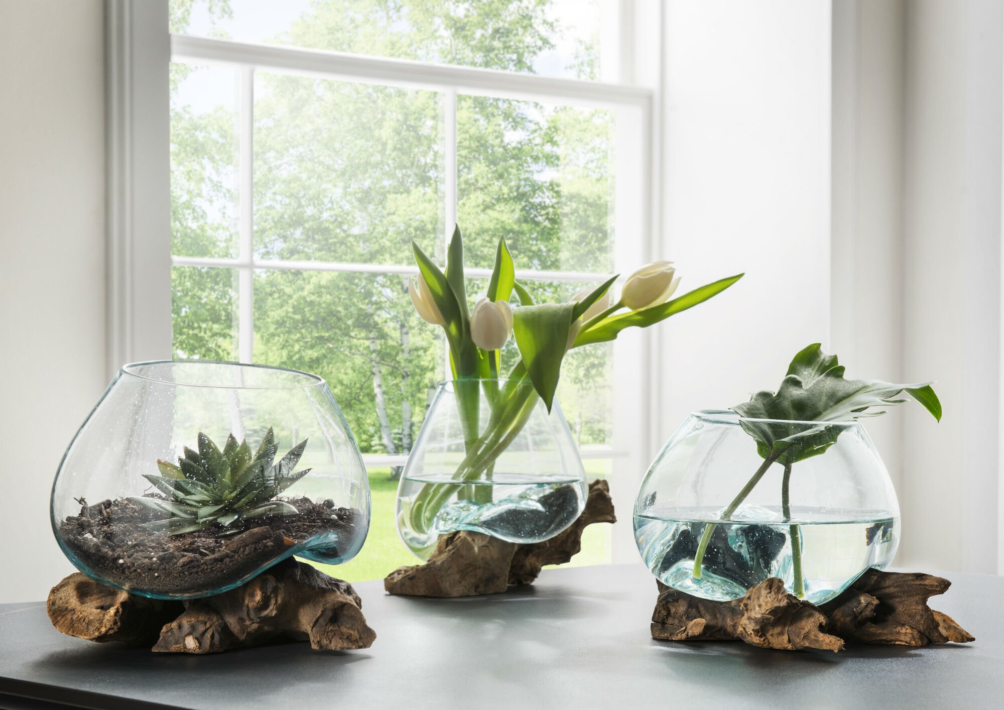 Unikat Teak-Dekowurzel mit Glasschale, natur 