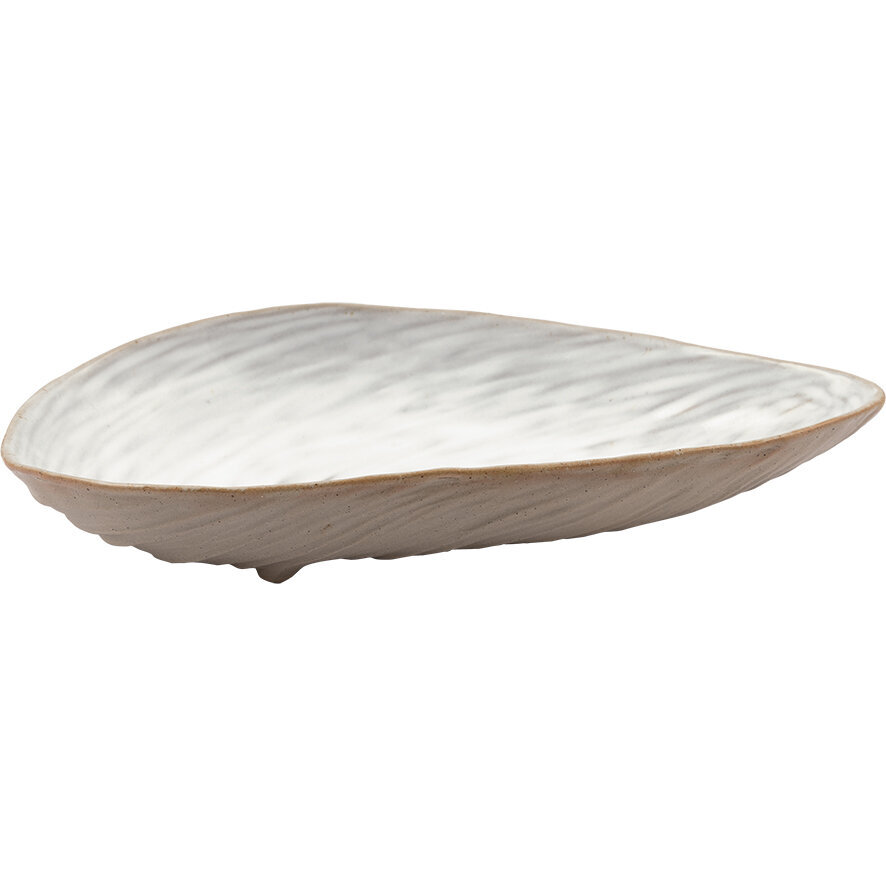 Muschelteller,  