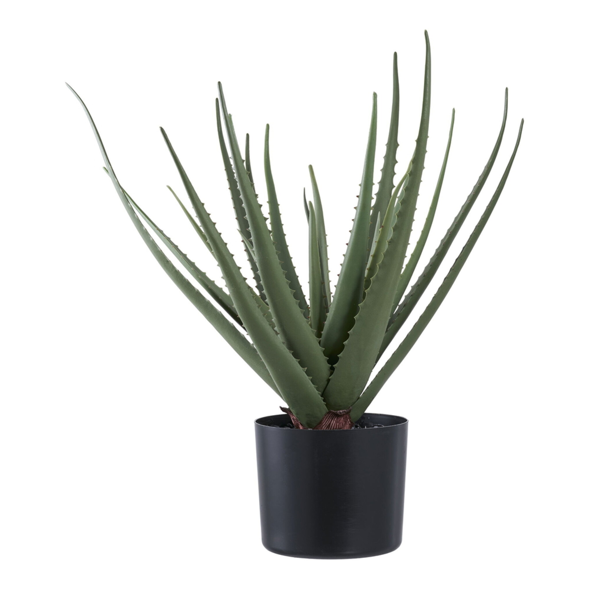 Aloe Vera Künstliche Grünpflanze, grün 