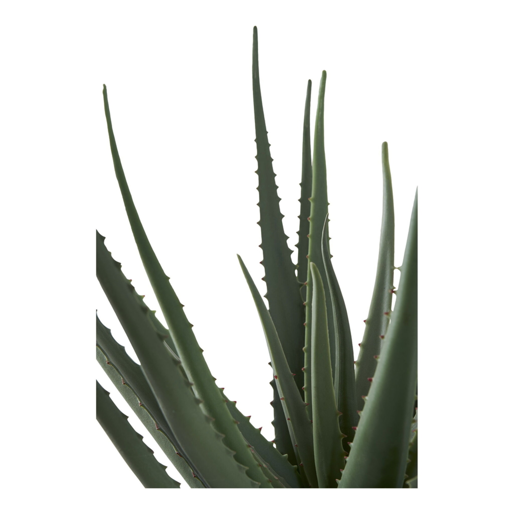 Aloe Vera Künstliche Grünpflanze, grün 