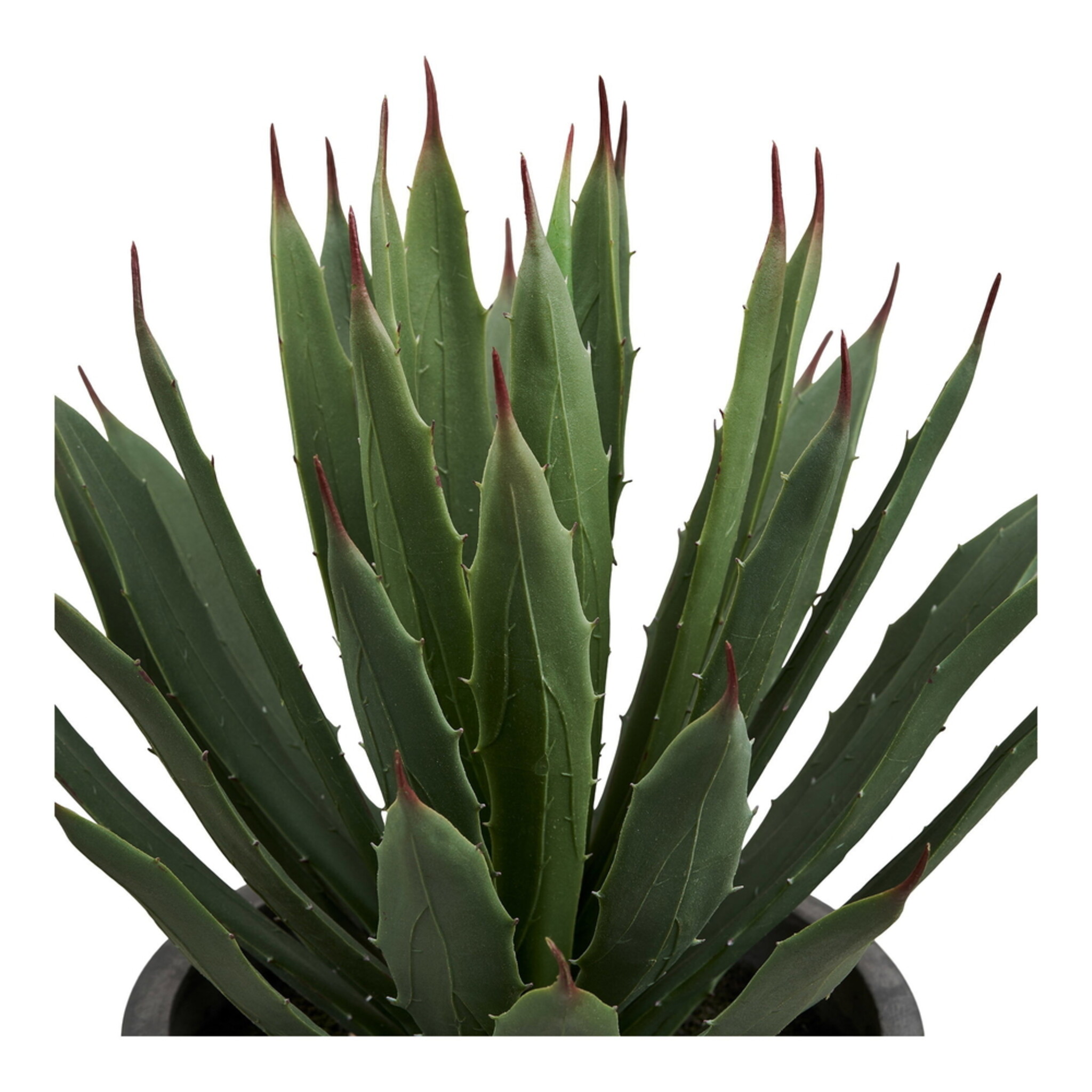Künstliche Agave im Topf