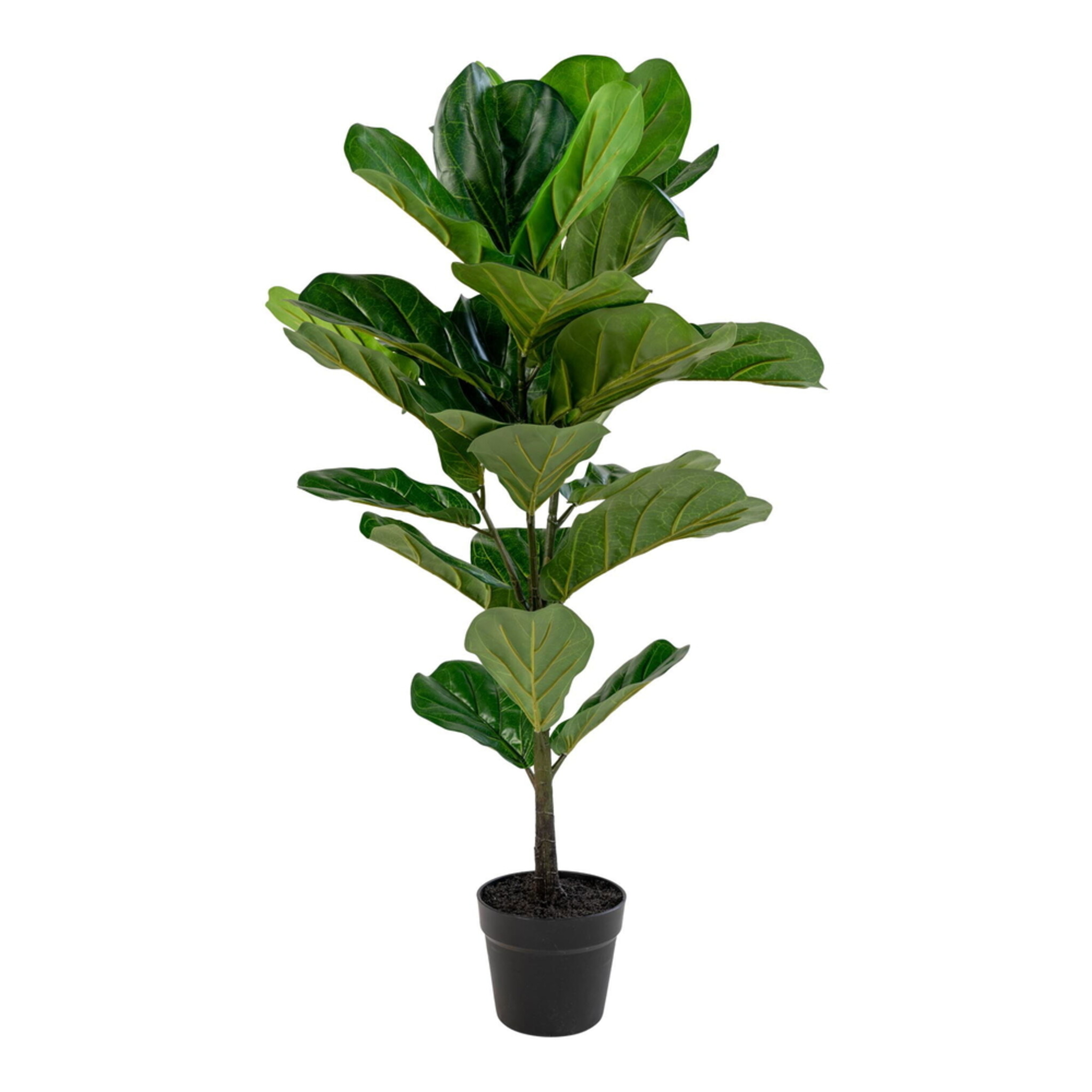 Künstlicher Geigenblattbaum, Grünpflanze, grün 