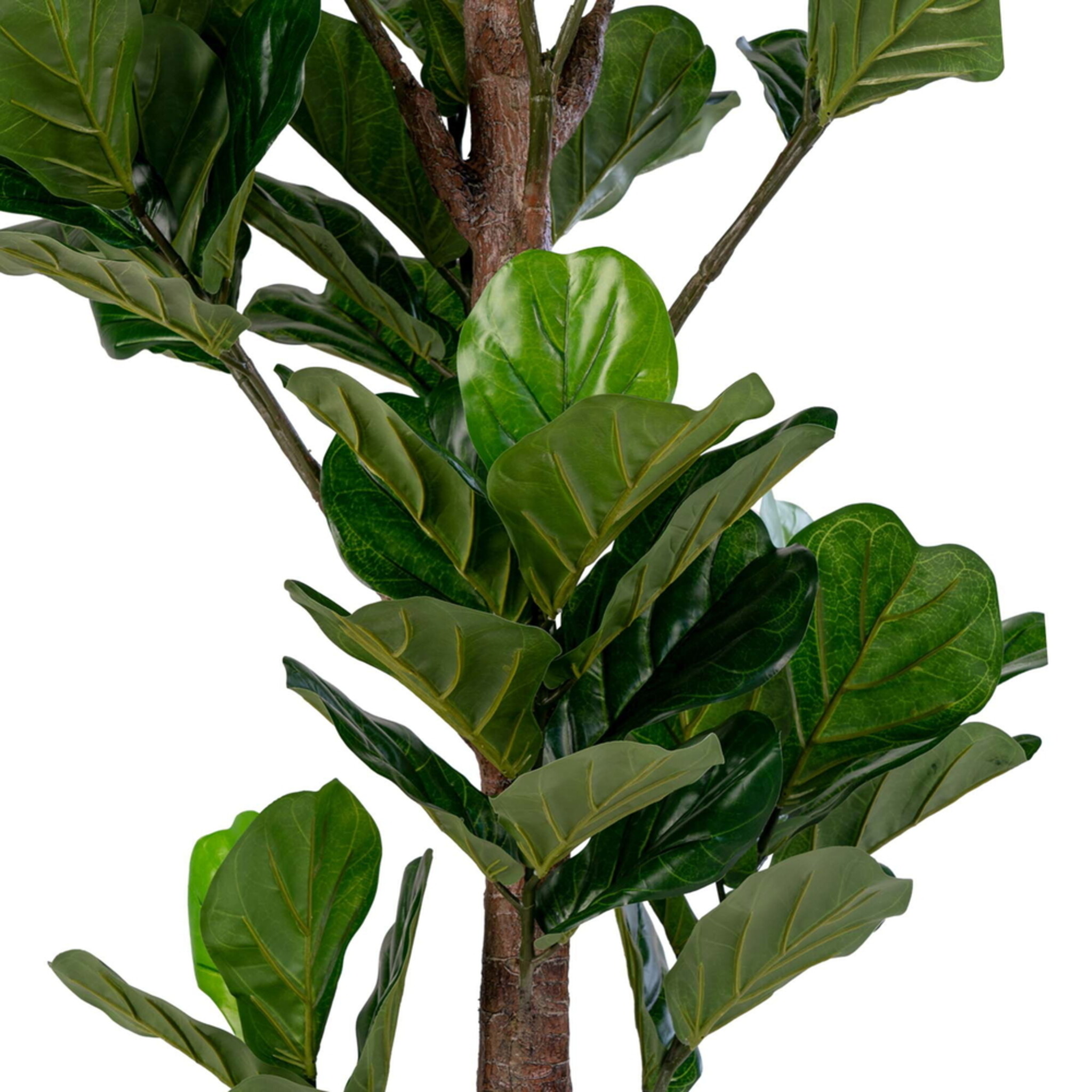Künstlicher Geigenblattbaum, Grünpflanze XXL, grün 