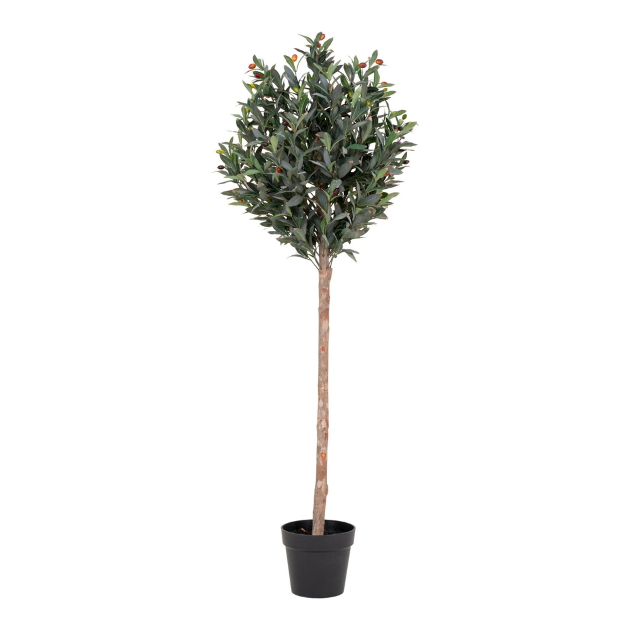 Künstlicher Olivenbaum Stamm,  Ø 58 cm, Höhe 150 cm