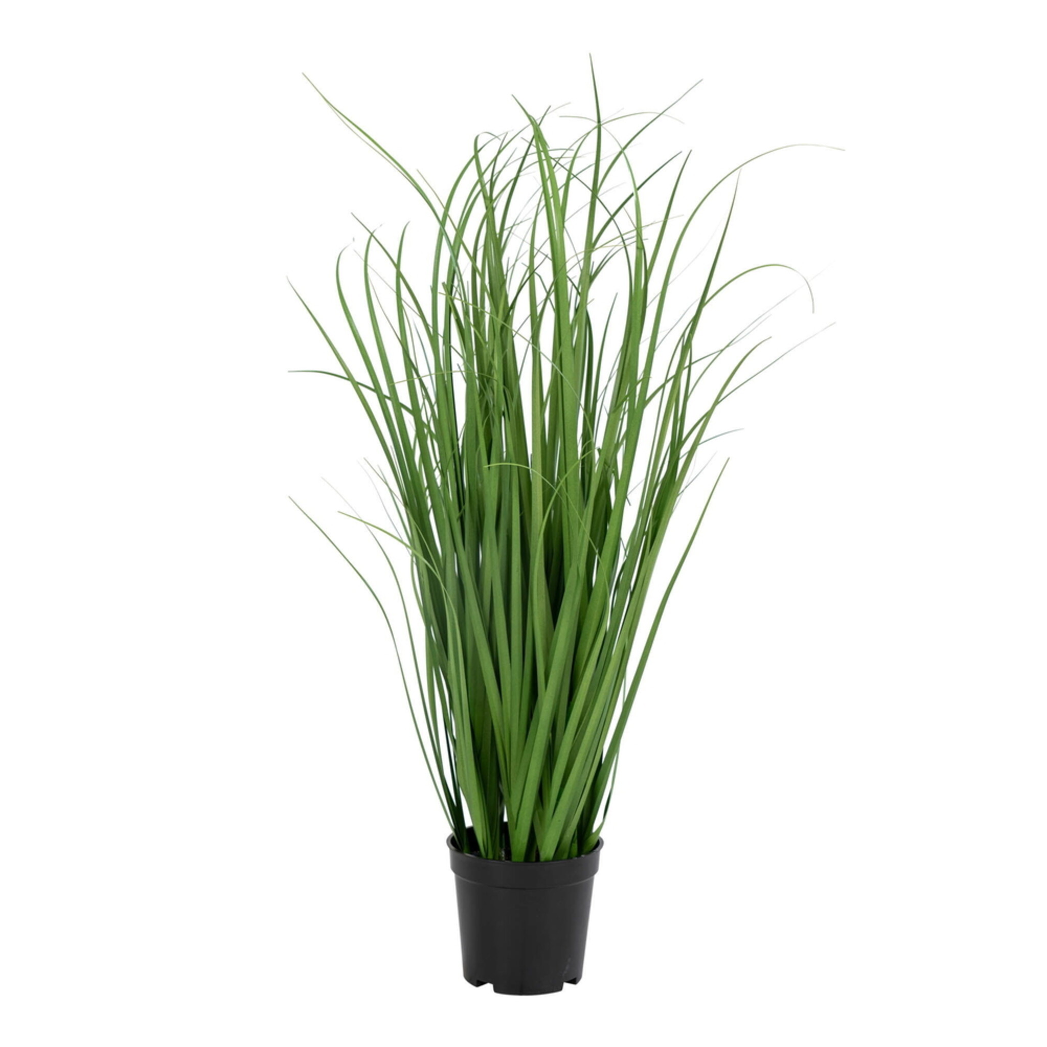 Künstliches Poa Gras von House Nordic, grün 