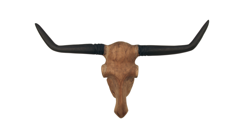 Wanddekoration Büffelkopf, natur 