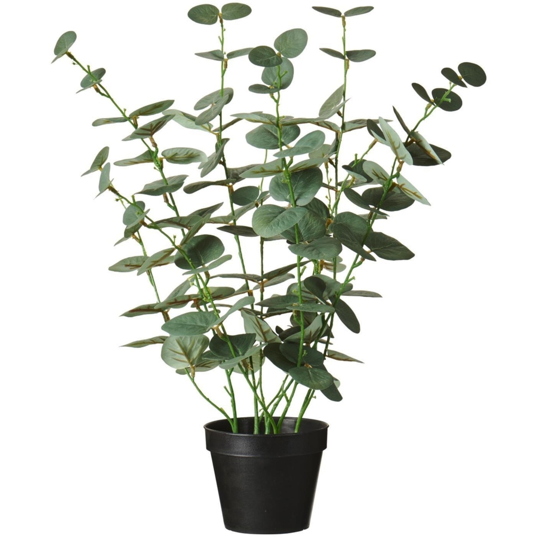 Künstlicher Eukalyptus im Topf von IB Laursen, grün 