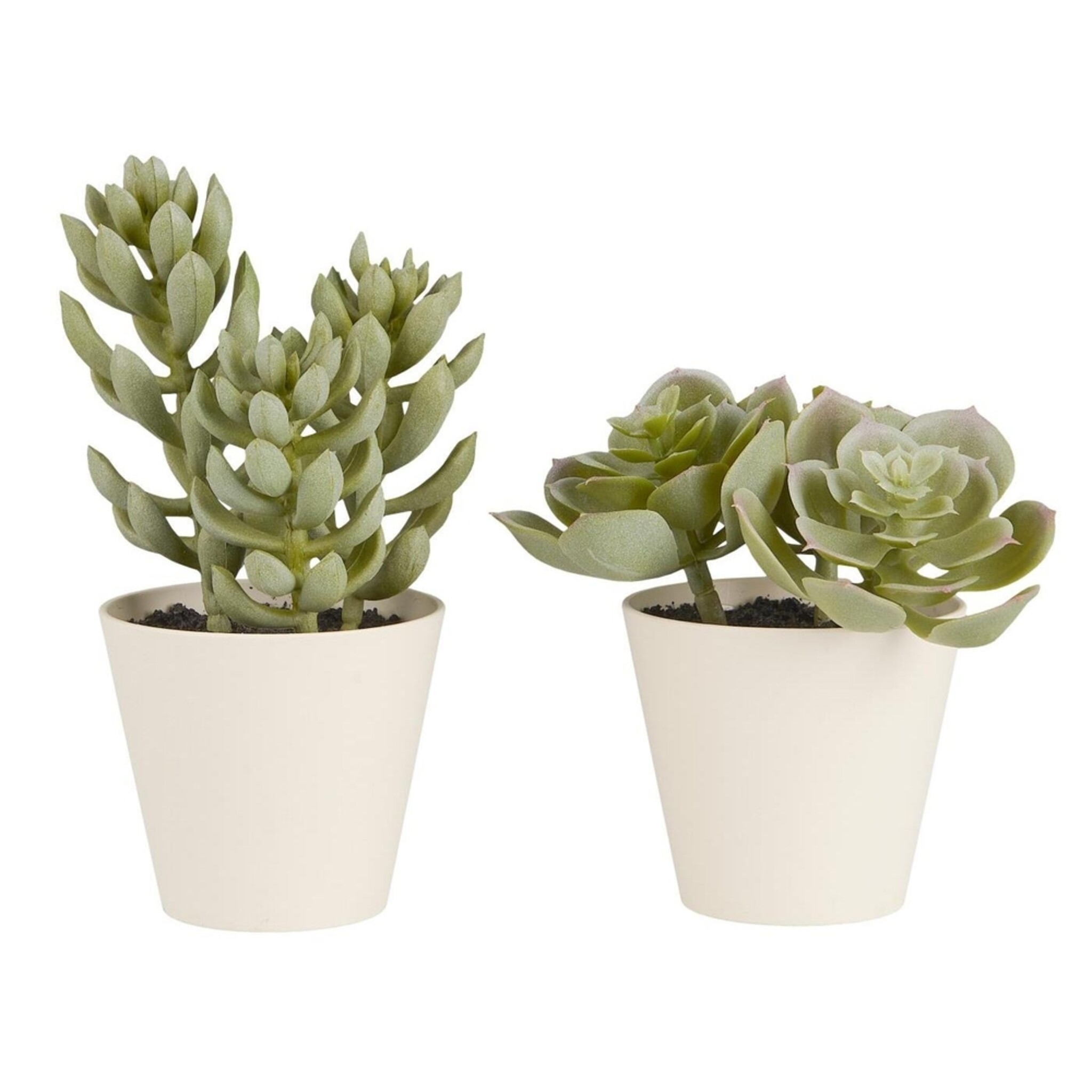 Künstliche Sukkulente 2er Set im Topf Sedum und Echeverie, grün 