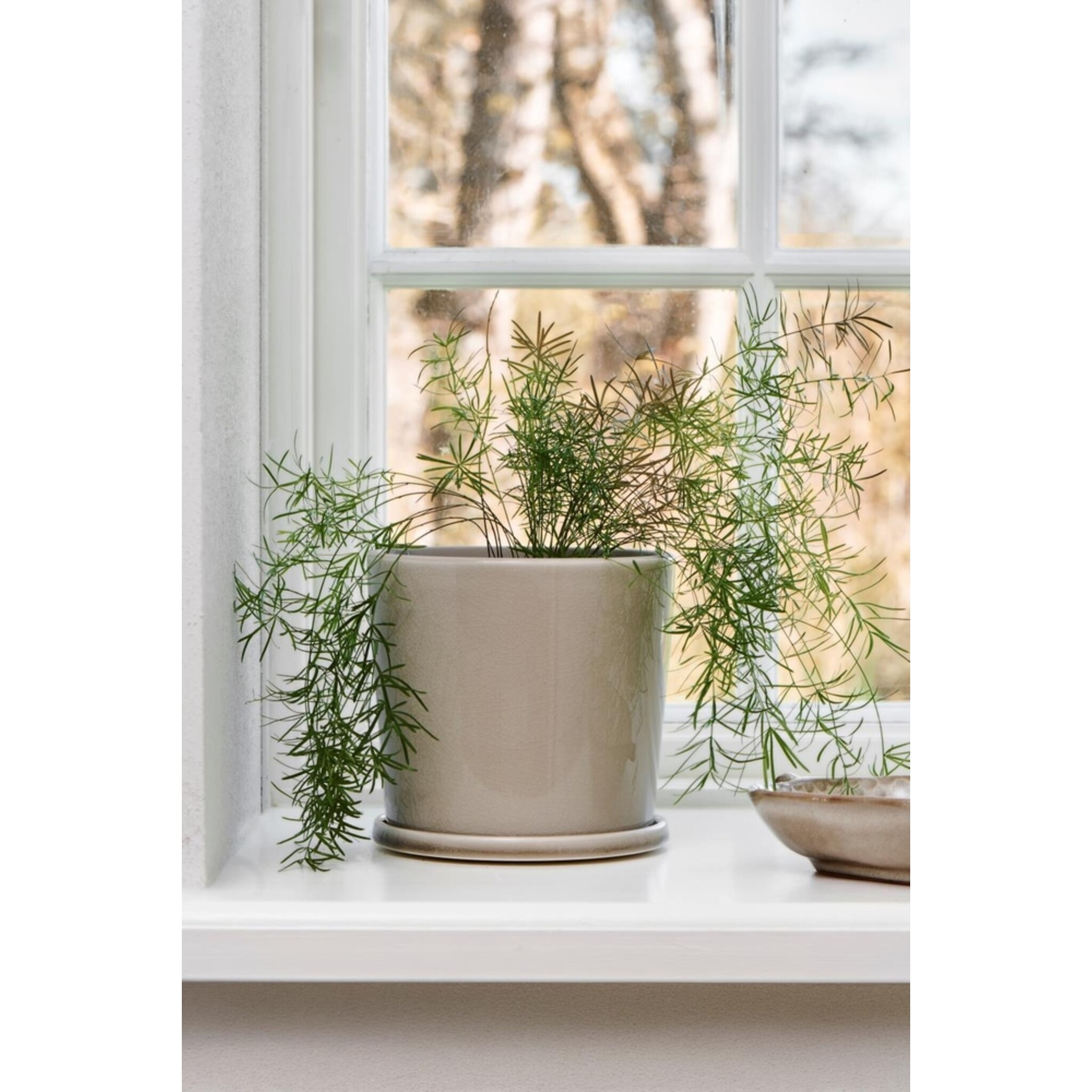 IB Laursen Blumentopf Saga mit Untersetzer, beige 