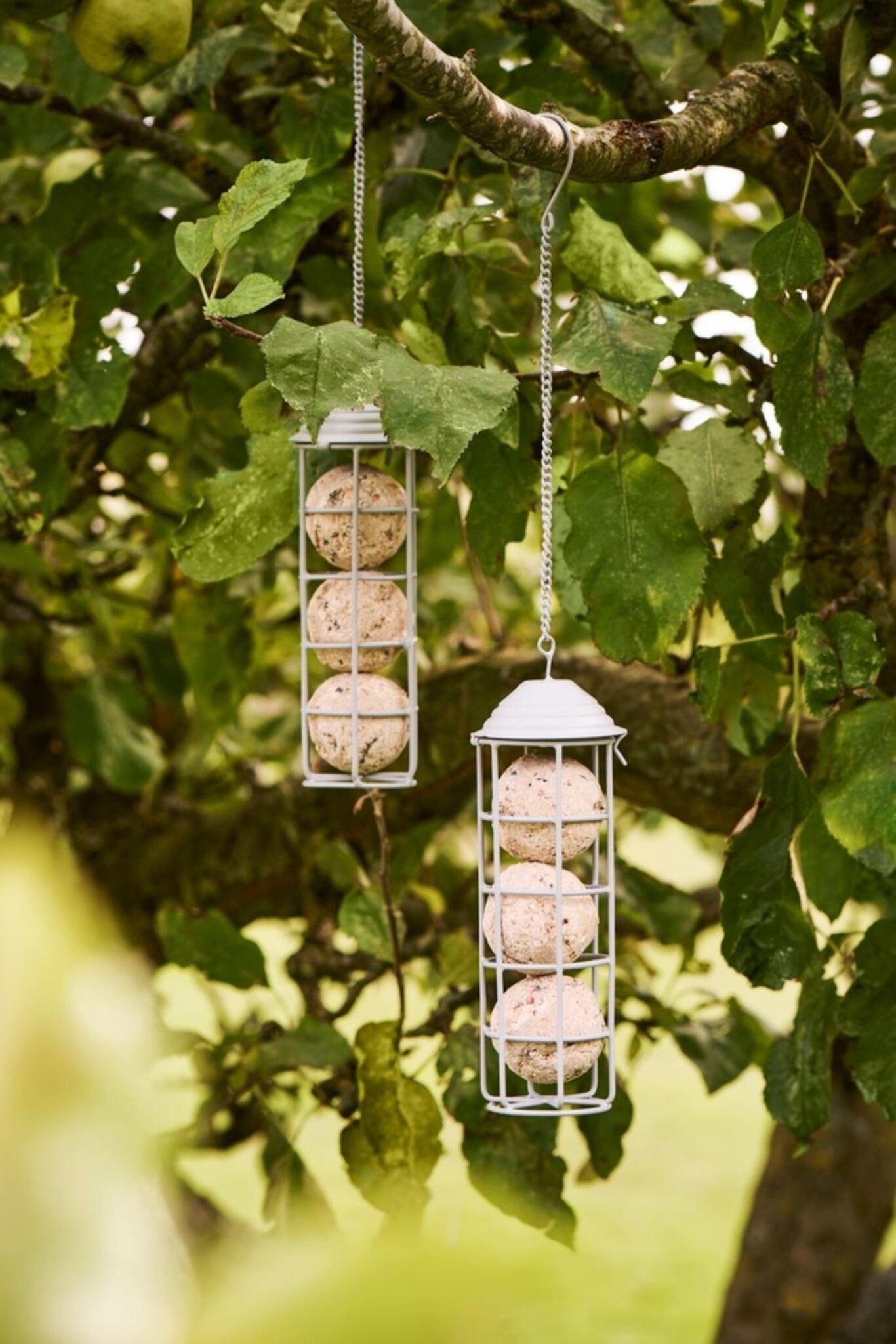 Vogelfutterspender für Meisenknödel, grau 