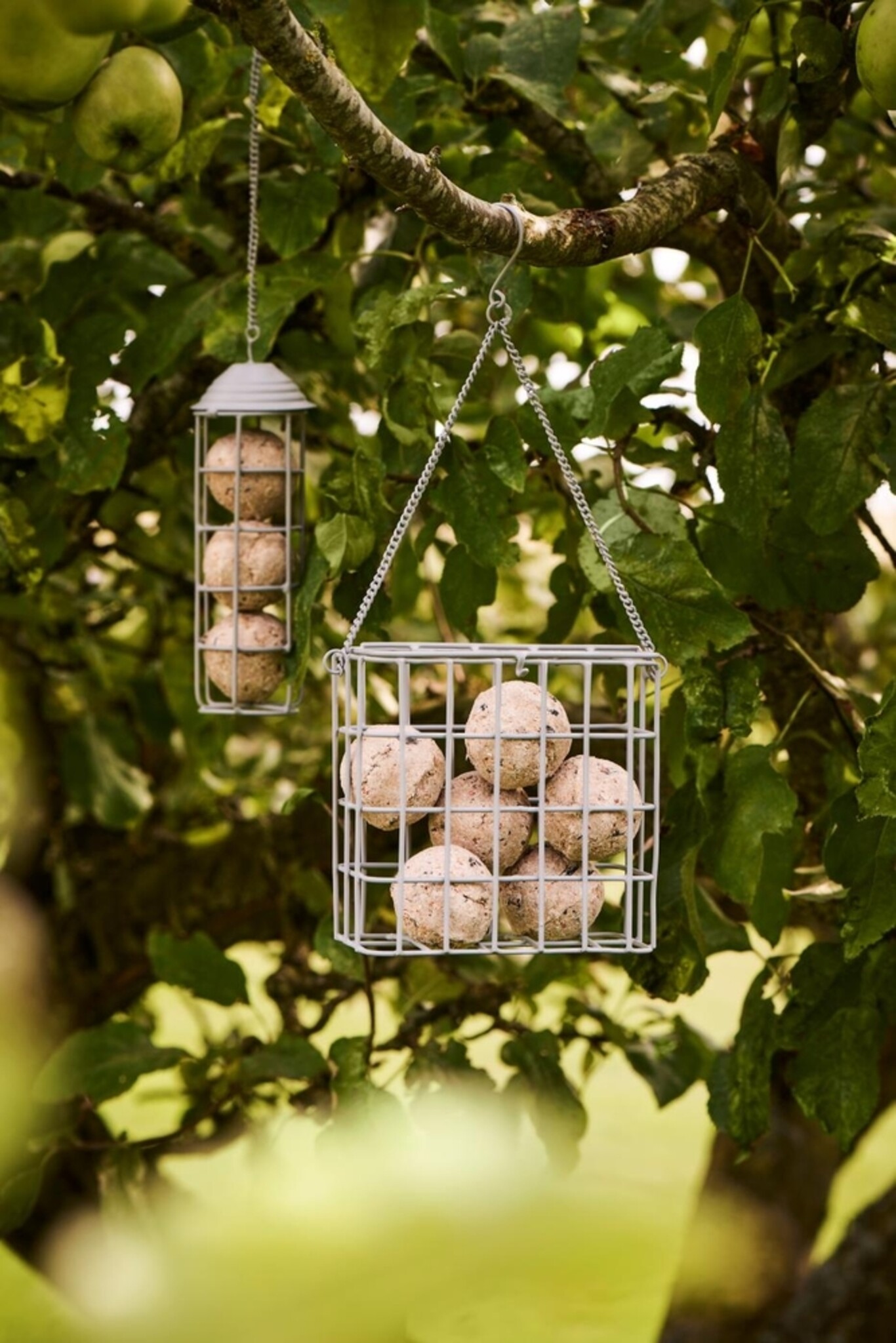 Vogelfutterspender für Meisenknödel, grau 