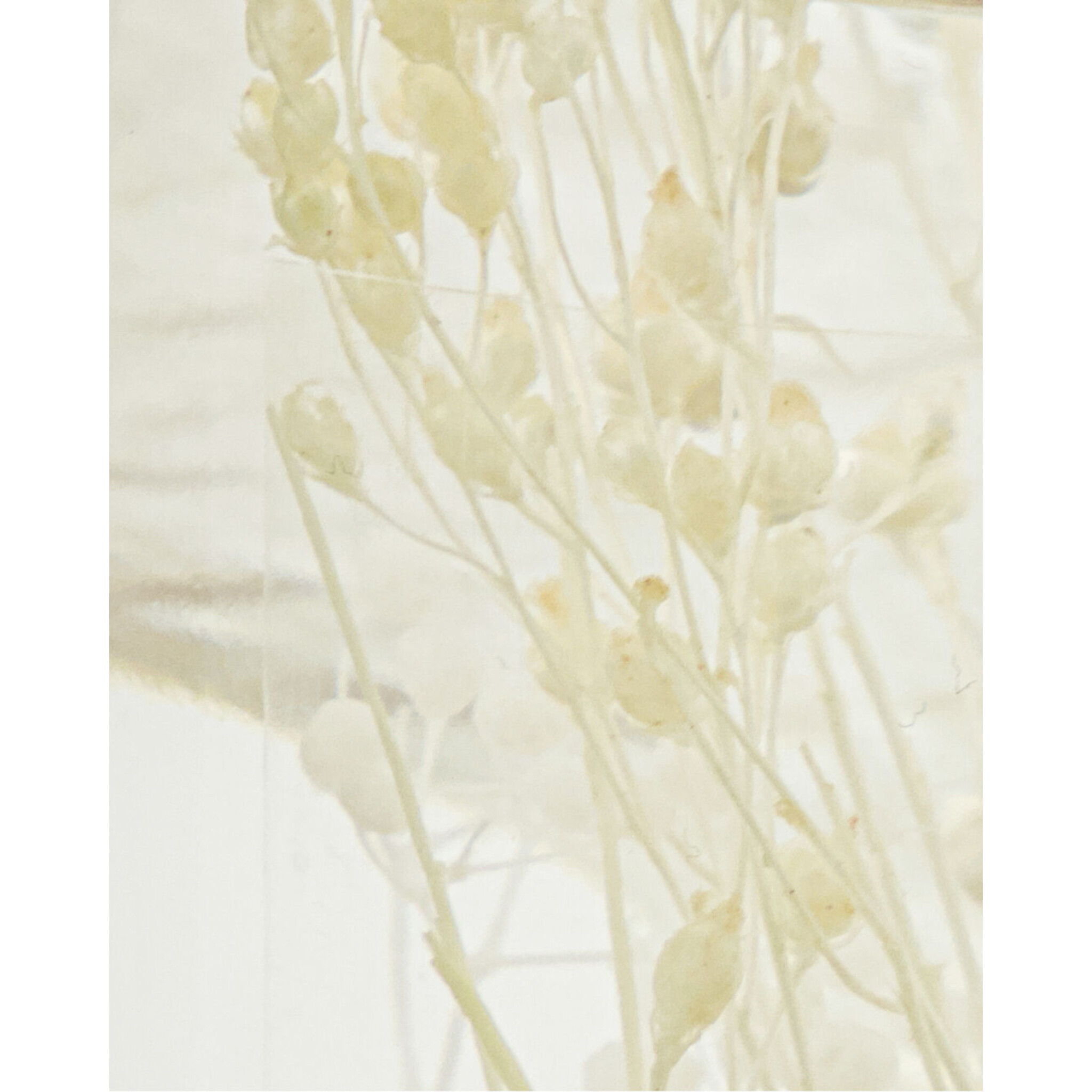 Meraki Raumduft-Diffuser Vivid Shades, 240 ml,  Ø 5,6 cm, H 26 cm, 240 ml