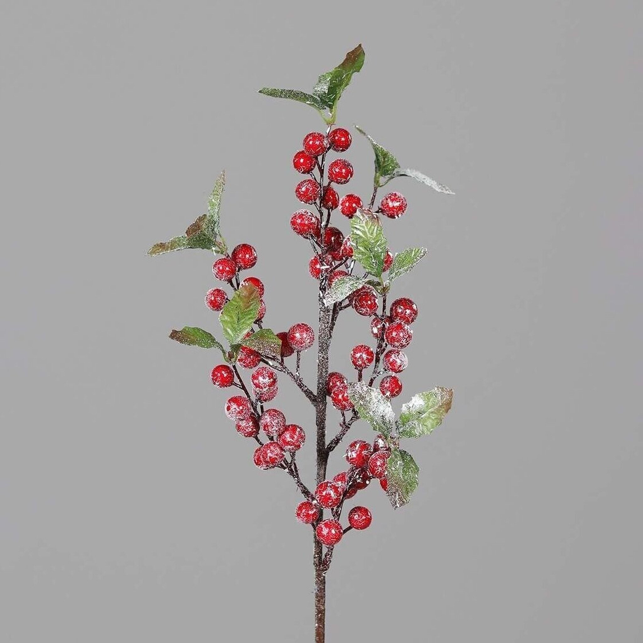 Beeren Zweig mit Schnee und Glitzer, rot 