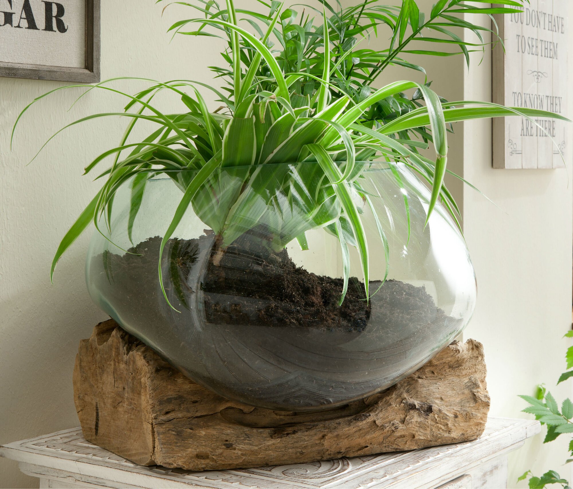Deko Wurzel mit Glas Vase flach | skandeko