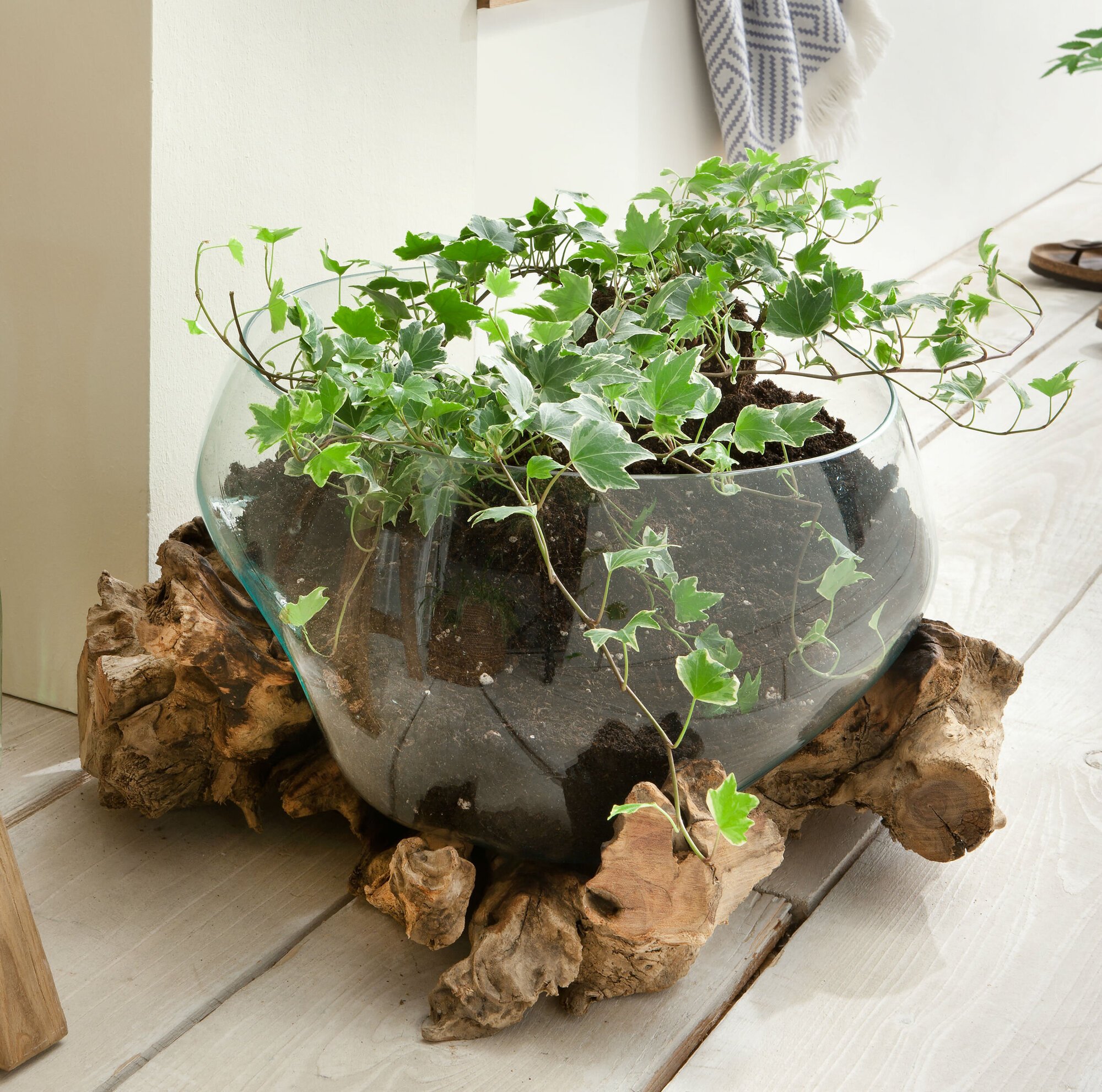 Deko Wurzel mit Glas Vase flach