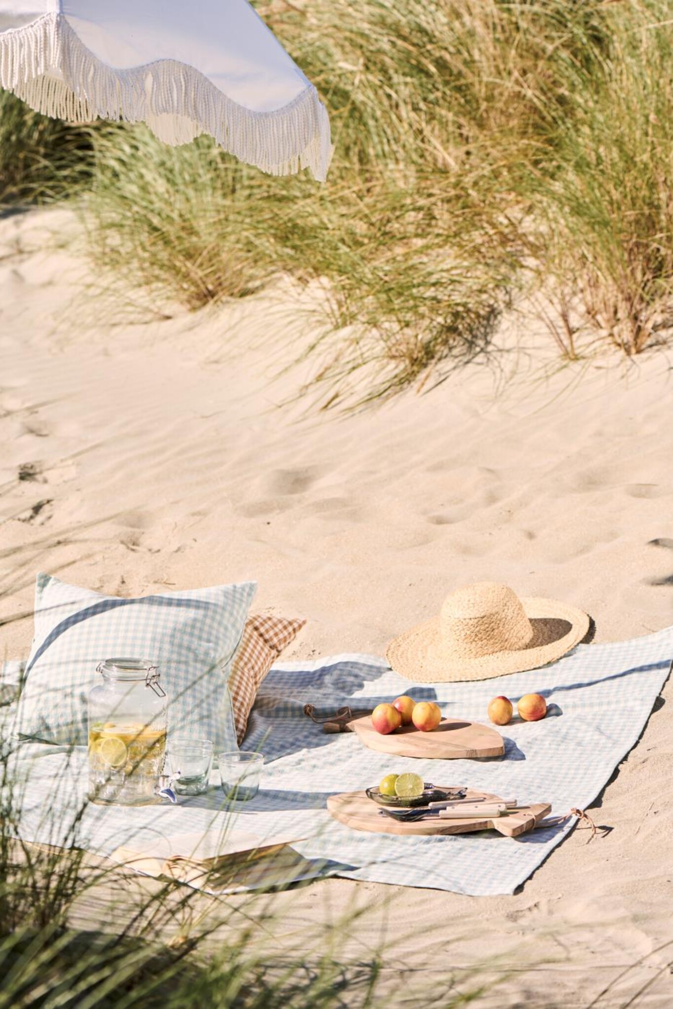 Sommer-Picknick mit IB Laursen Bild 1