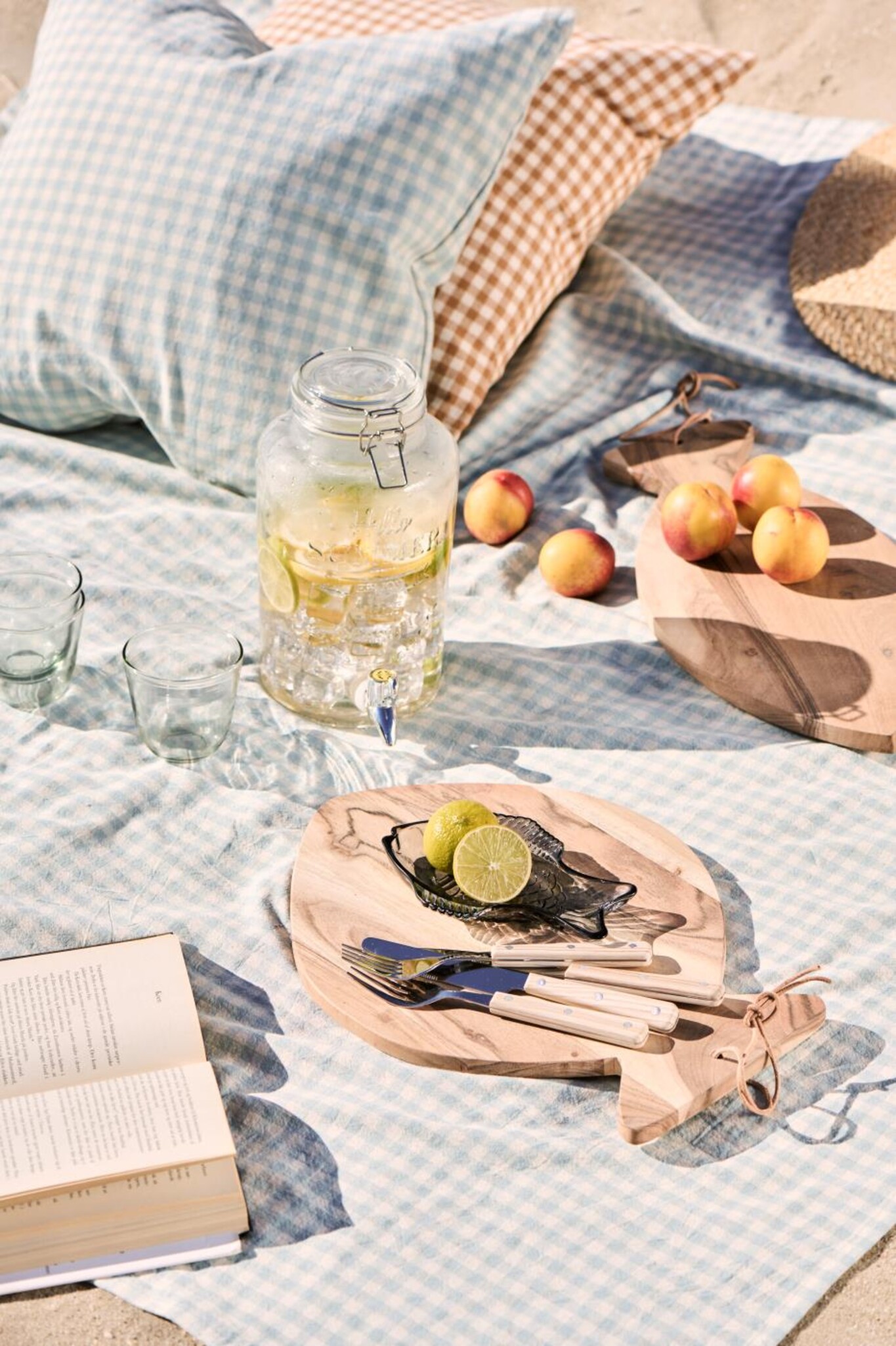 Sommer-Picknick mit IB Laursen Bild 2