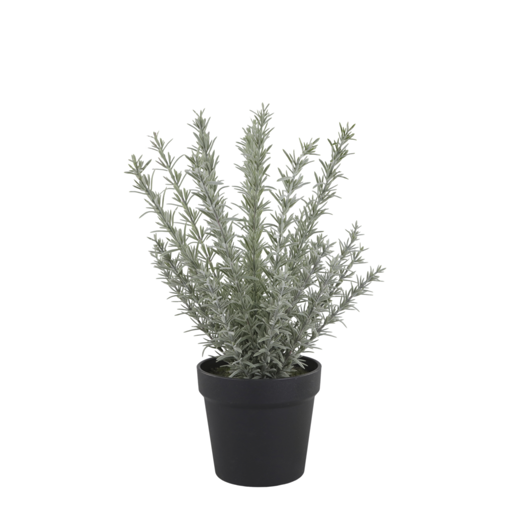 Chic Antique Fleur künstlicher Rosmarin Topf online kaufen bei SKANDEKO