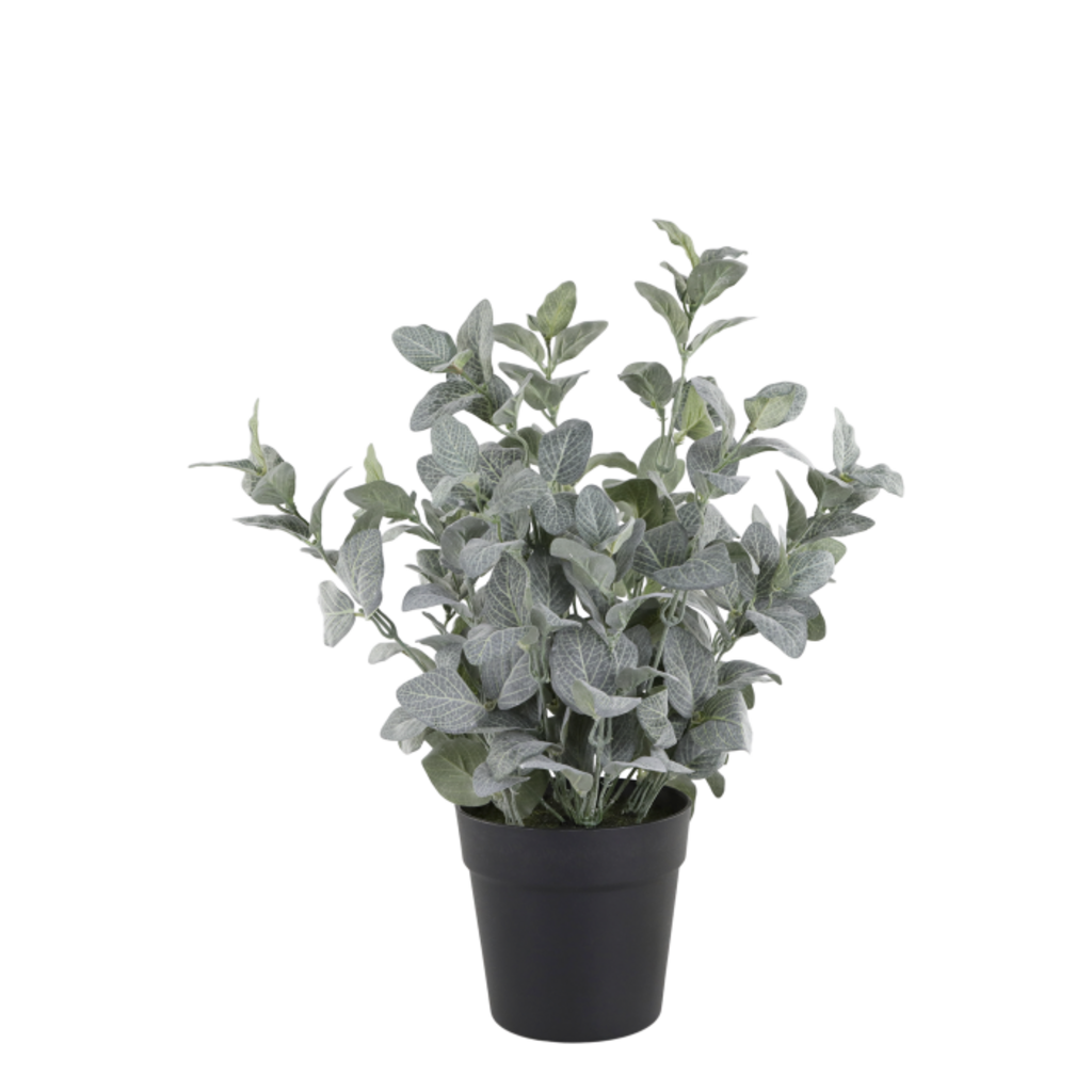 Chic Antique Fleur Salbei Kräuter-Topf künstlich online kaufen bei SKANDEKO