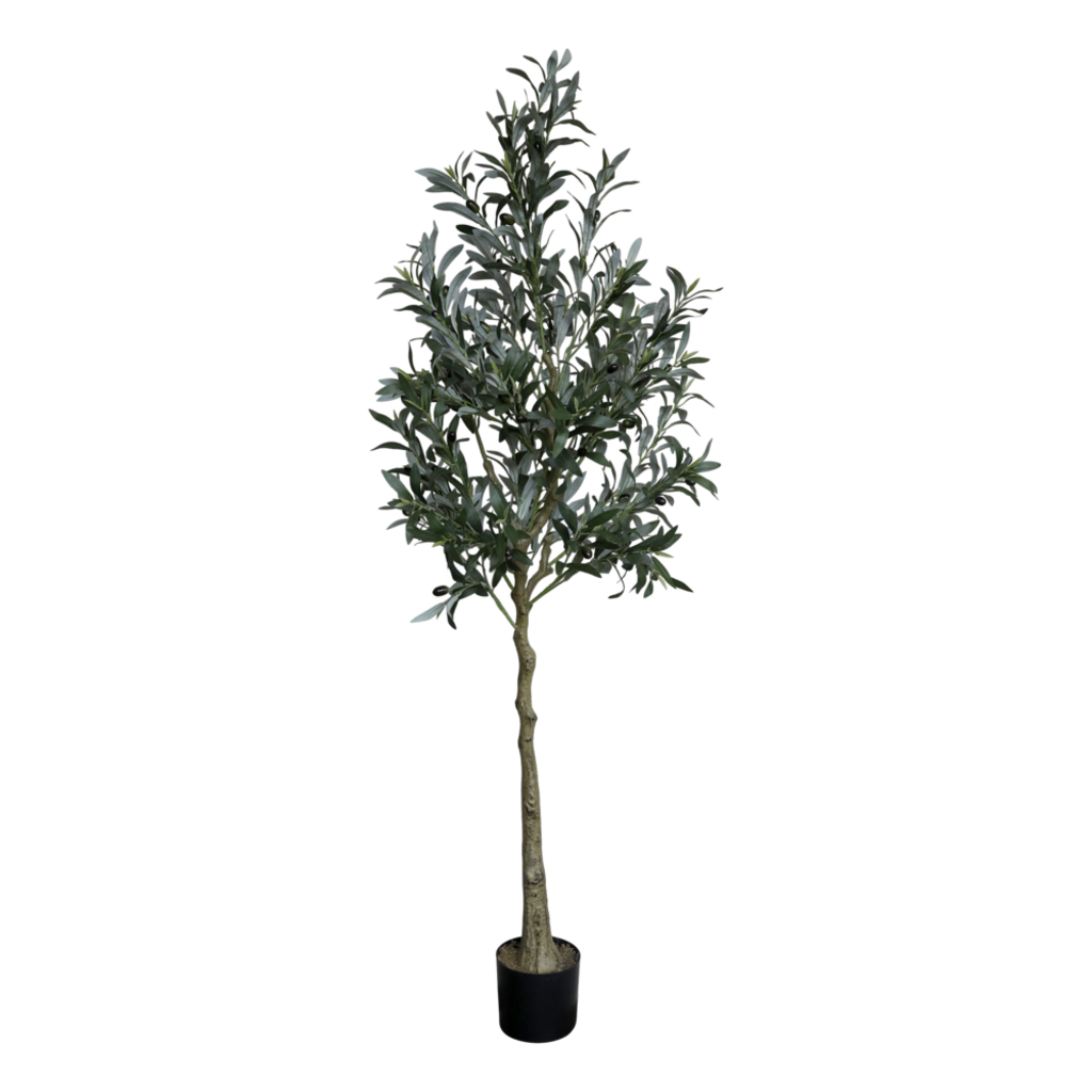 Chic Antique Künstlicher Olivenbaum Fleur  online kaufen bei SKANDEKO