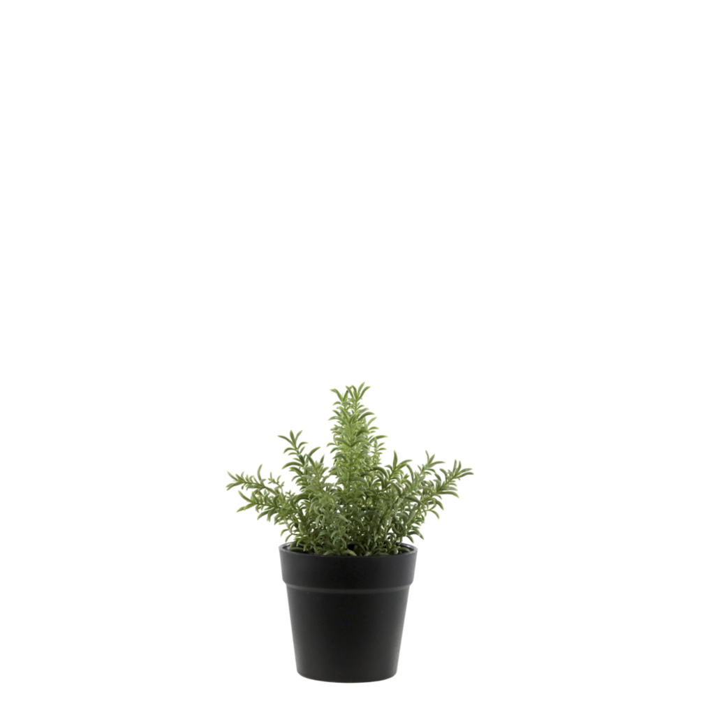 Fleur künstlicher Rosmarin Topf