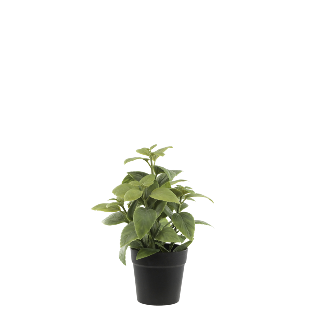 Chic Antique Fleur künstliche Minze online kaufen bei SKANDEKO