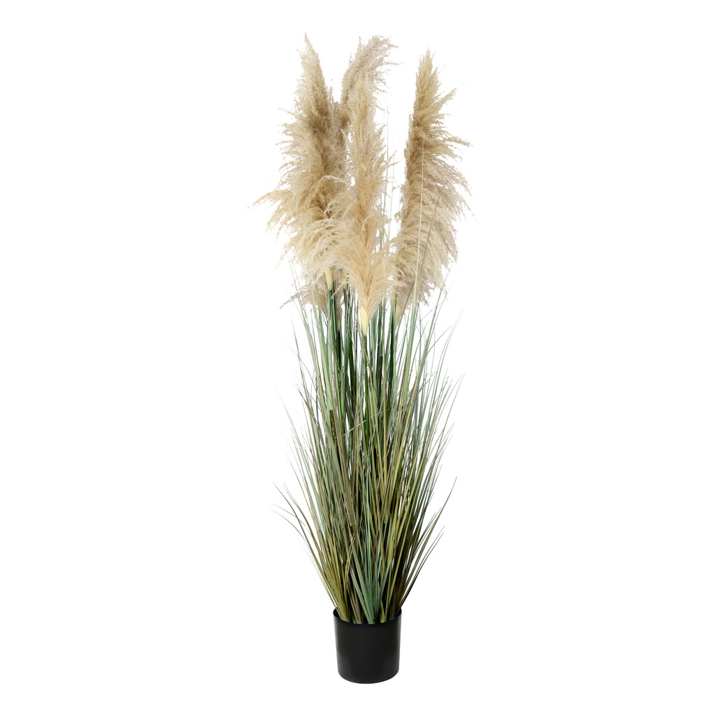 Chic Antique Kunst-Schilfpflanze 170 cm online kaufen bei SKANDEKO