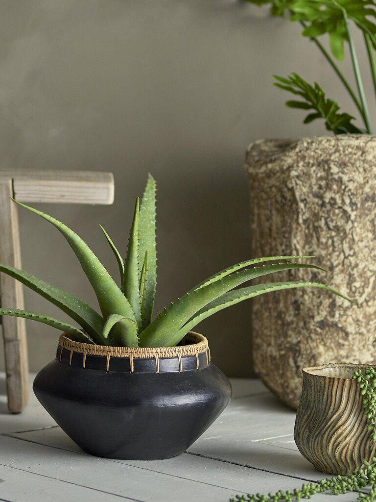 Bloomingville Künstliche Aloe Vera Pflanze im Topf 61 cm online kaufen bei SKANDEKO (Ansicht 2)