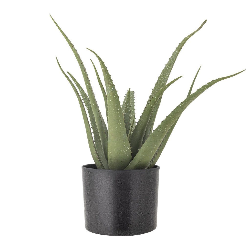Bloomingville Künstliche Aloe Vera Pflanze im Topf 61 cm online kaufen bei SKANDEKO
