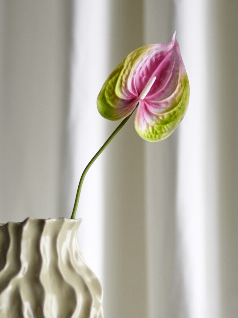 Bloomingville Flamingo Stiel, Pink, Künstliche Blume online kaufen bei SKANDEKO (Ansicht 2)