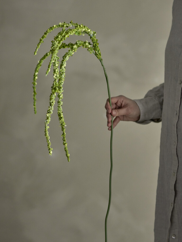 Bloomingville Foxtail Stiel, Grün, Künstliche Blume online kaufen bei SKANDEKO (Ansicht 2)