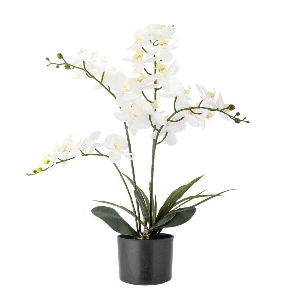 Bloomingville Künstliche Orchidee, Kunstblume online kaufen bei SKANDEKO