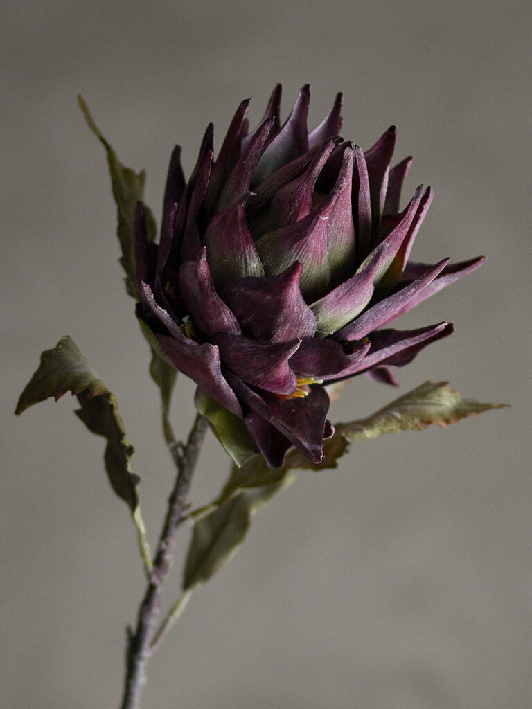 Bloomingville Kunstblume Protea Stiel, Violett online kaufen bei SKANDEKO (Ansicht 2)