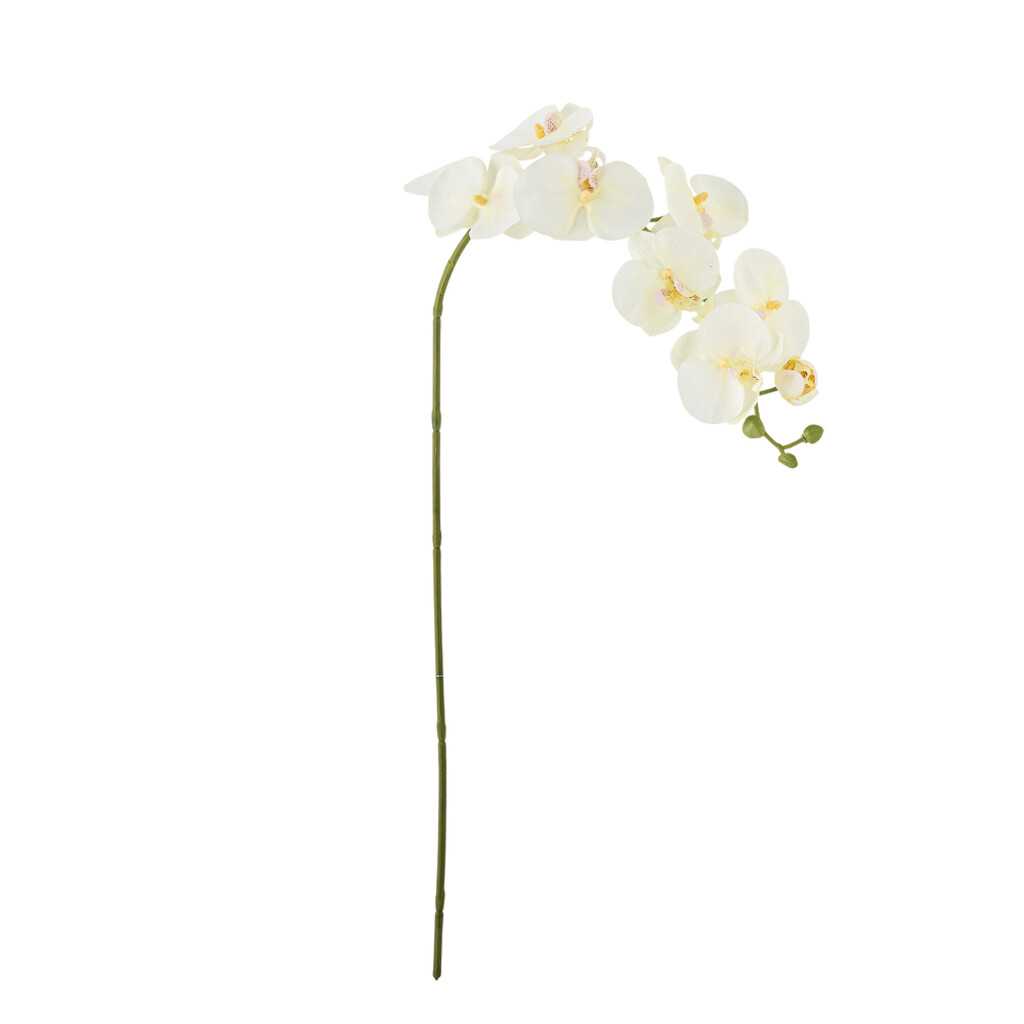 Bloomingville Orchideen Stiel, Weiß, Künstliche Blume online kaufen bei SKANDEKO