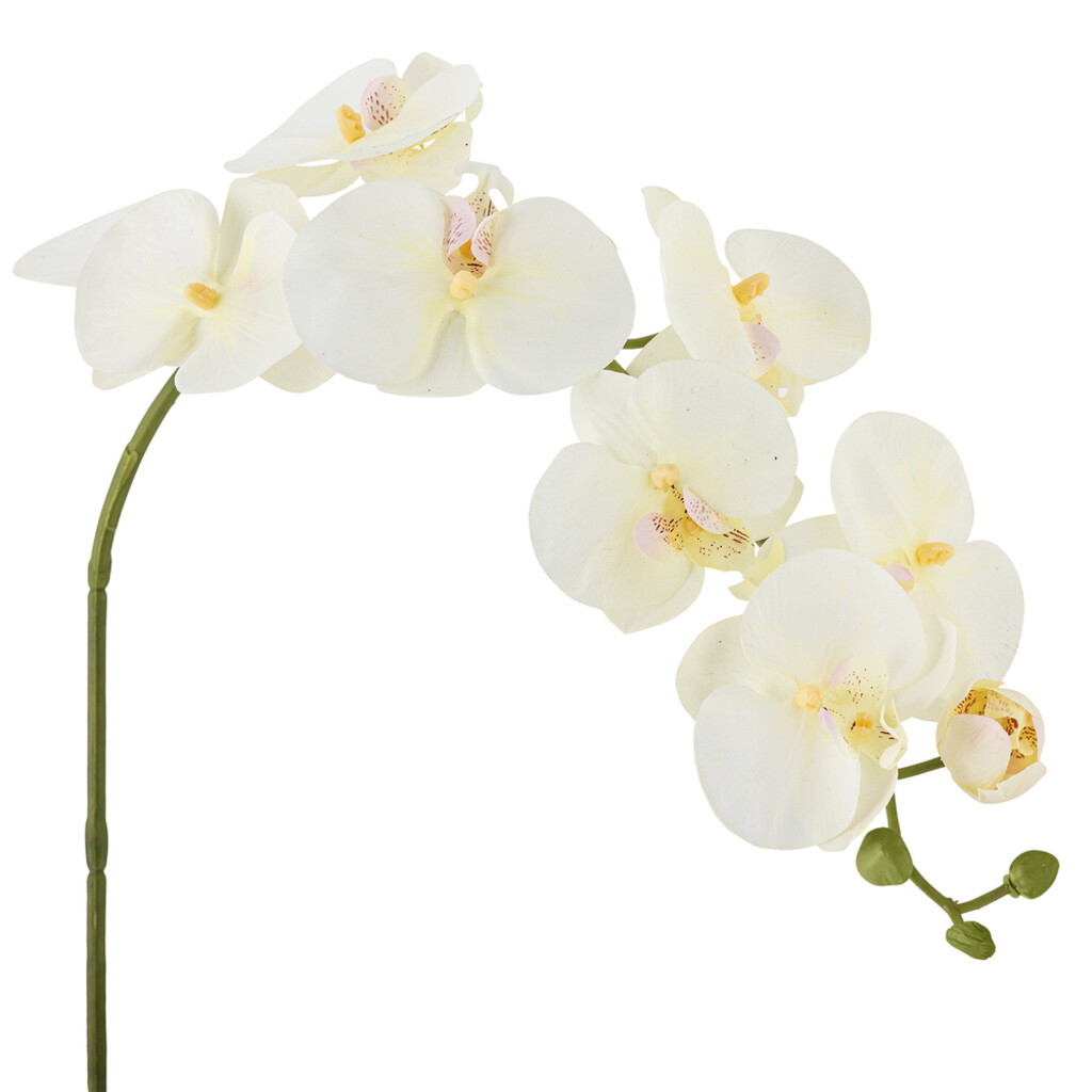 Orchideen Stiel, Weiß, Künstliche Blume