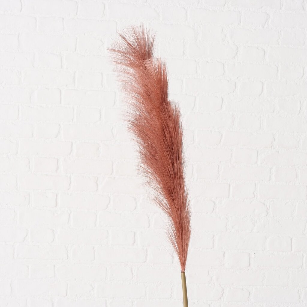 Dekozweig Pampasgras Phragmites australis