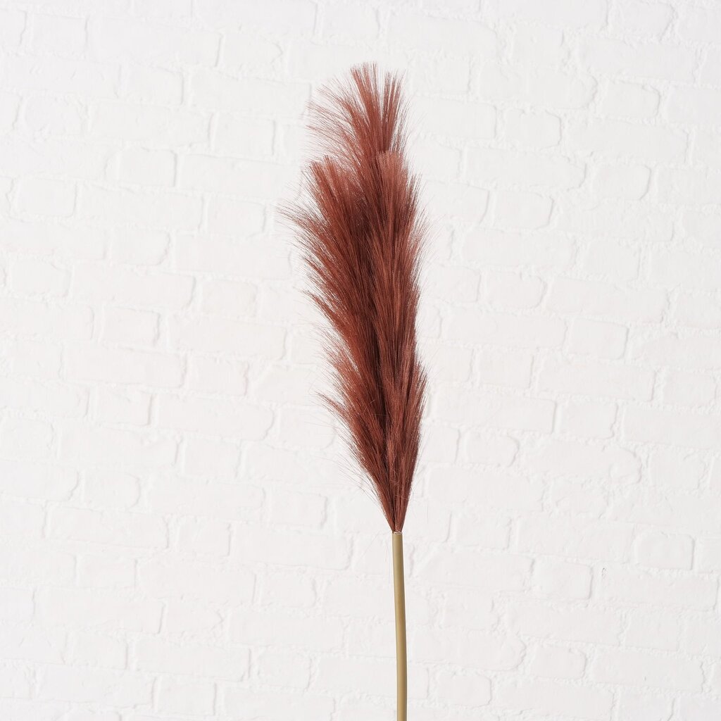 Dekozweig Pampasgras Phragmites australis