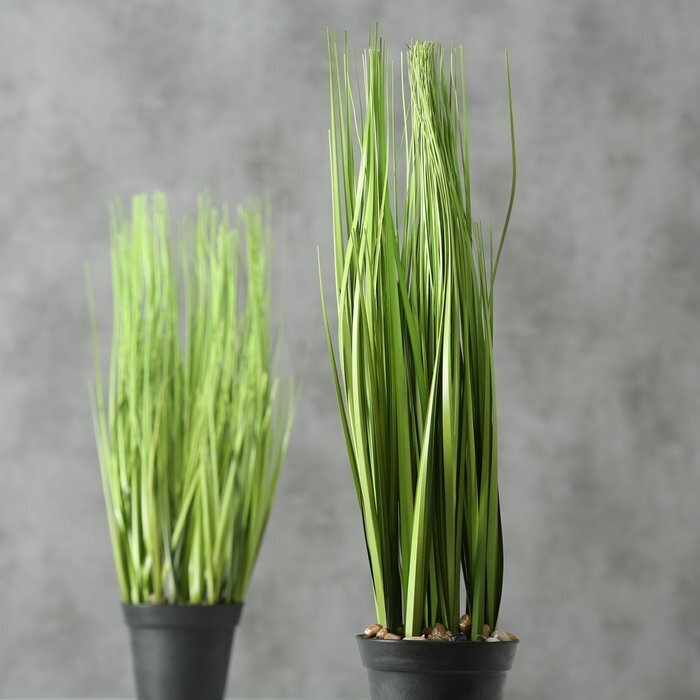Boltze Kunst Topfpflanze Gras online kaufen bei SKANDEKO (Ansicht 2)