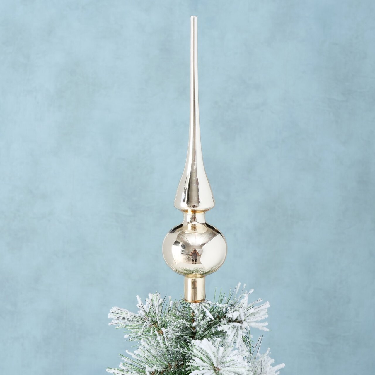 Tannenbaum Baumspitze
