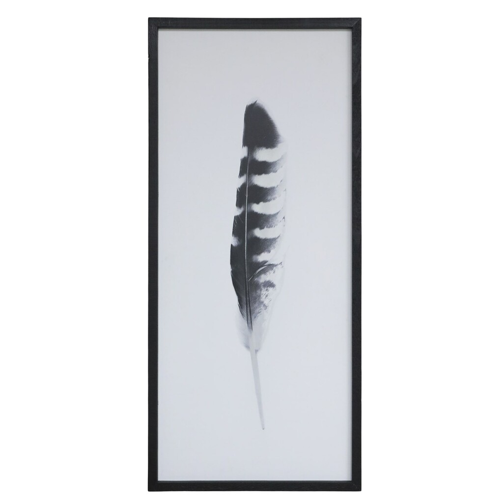 Chic Antique Bild mit Federnmotiv und schwarzem Rahmen online kaufen bei SKANDEKO