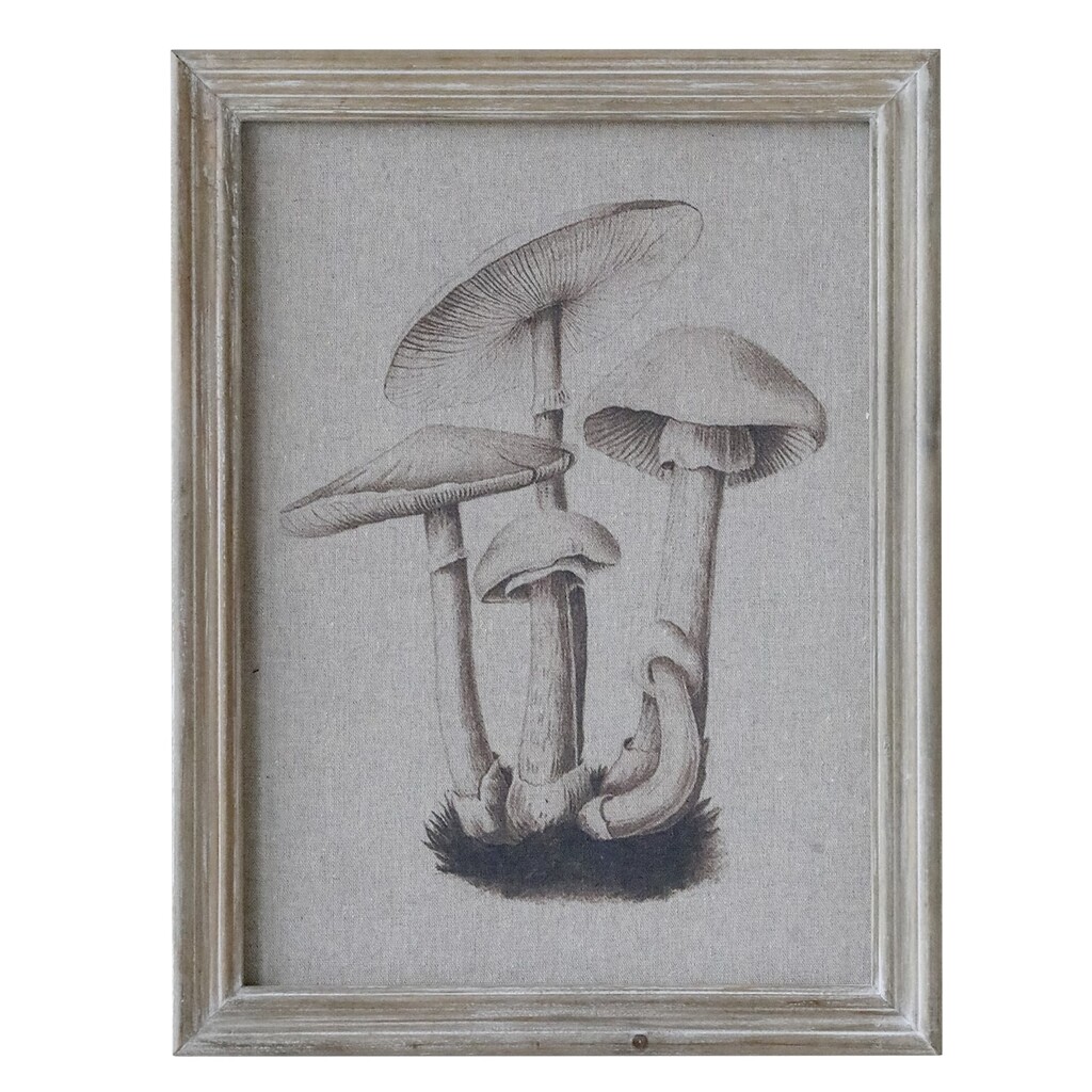 Chic Antique Bild mit Pilzmotiv und Naturrahmen online kaufen bei SKANDEKO