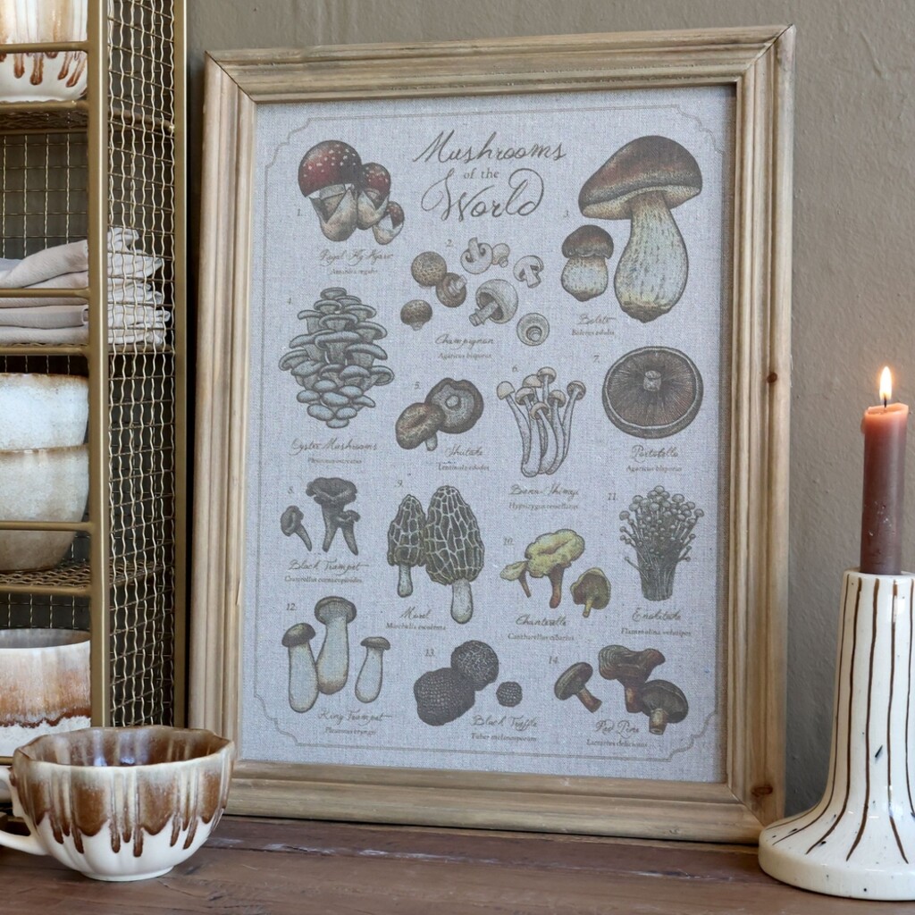 Chic Antique Wandbild Pilzmotiv mit Naturholz-Rahmen 33x43 cm