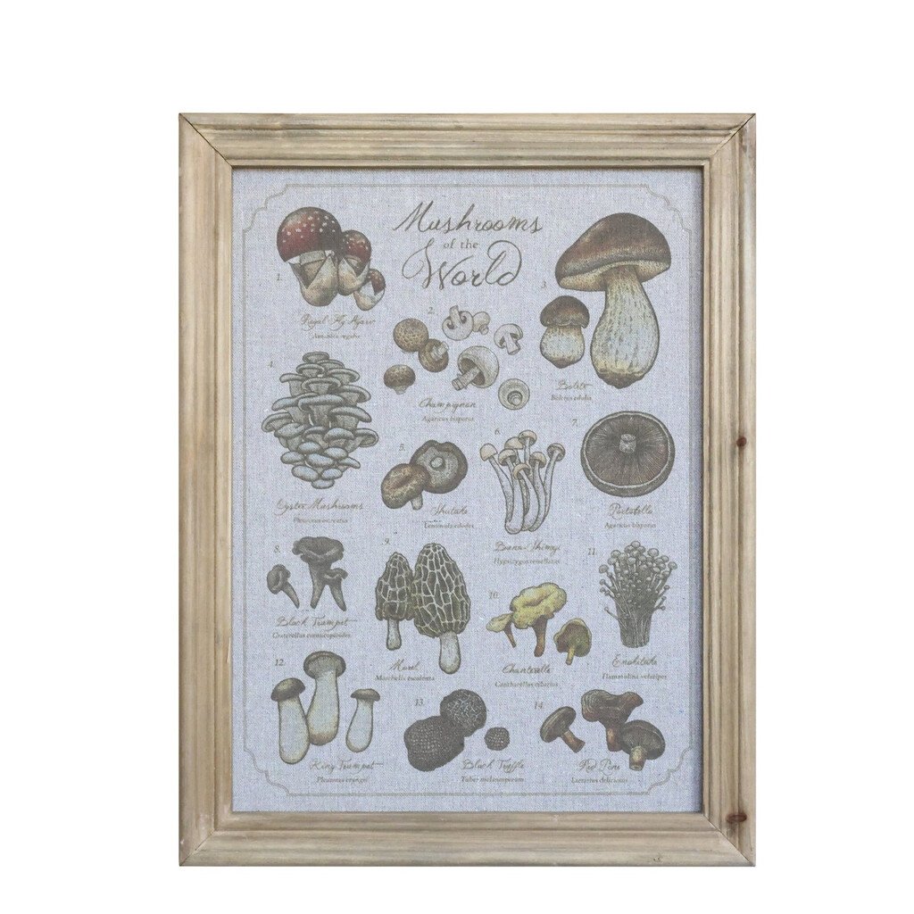 Chic Antique Wandbild Pilzmotiv mit Naturholz-Rahmen 33x43 cm online kaufen bei SKANDEKO