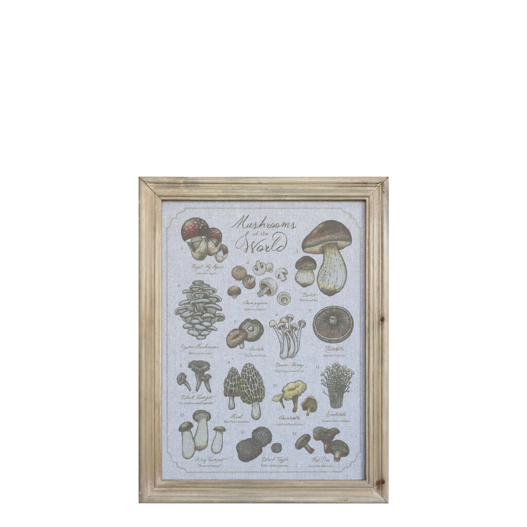 Chic Antique Wandbild Pilzmotiv mit Naturholz-Rahmen 33x43 cm online kaufen bei SKANDEKO