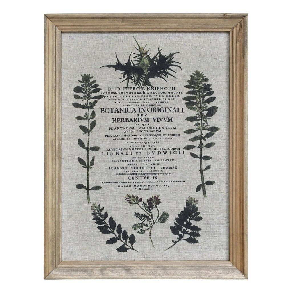 Chic Antique Bild mit wilden Blumen und Naturrahmen online kaufen bei SKANDEKO