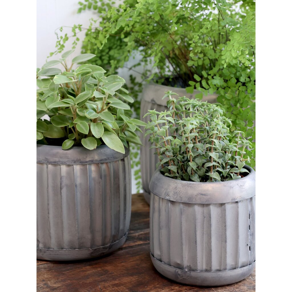 Chic Antique Blumentopf Pflanztopf mit Rillen online kaufen bei SKANDEKO (Ansicht 2)