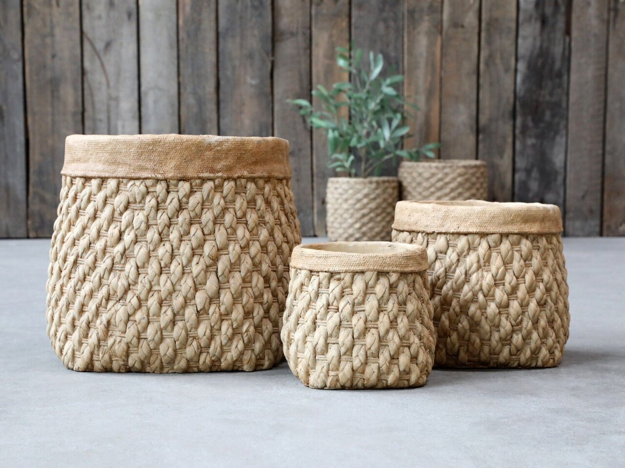 Chic Antique Corte Übertopf mit Flechtoptik online kaufen bei SKANDEKO (Ansicht 2)