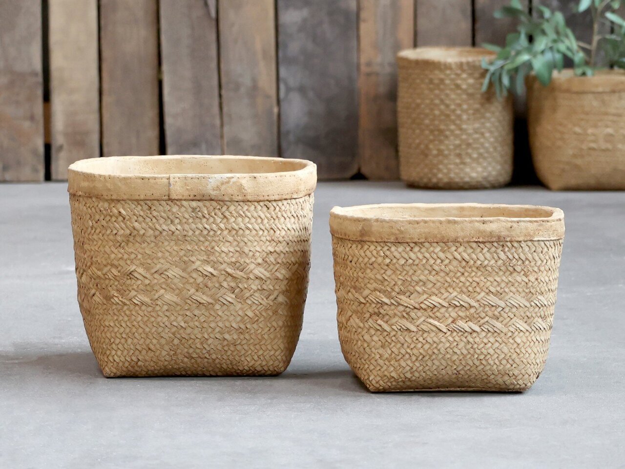 Chic Antique Corte Übertopf mit Geflecht Muster online kaufen bei SKANDEKO (Ansicht 2)