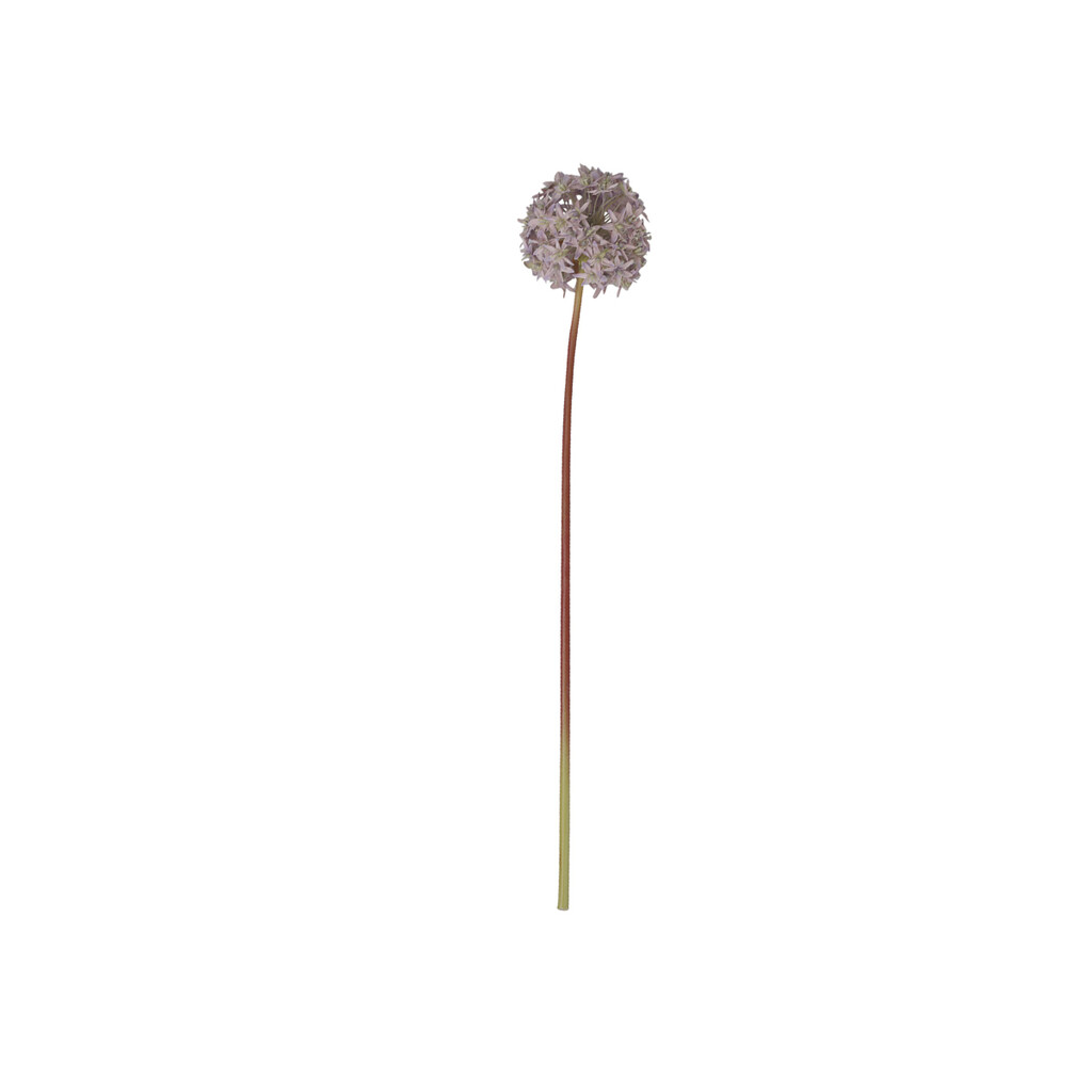 Chic Antique Fleur Allium online kaufen bei SKANDEKO