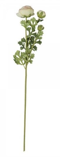 Chic Antique Fleur Butterblume melone online kaufen bei SKANDEKO